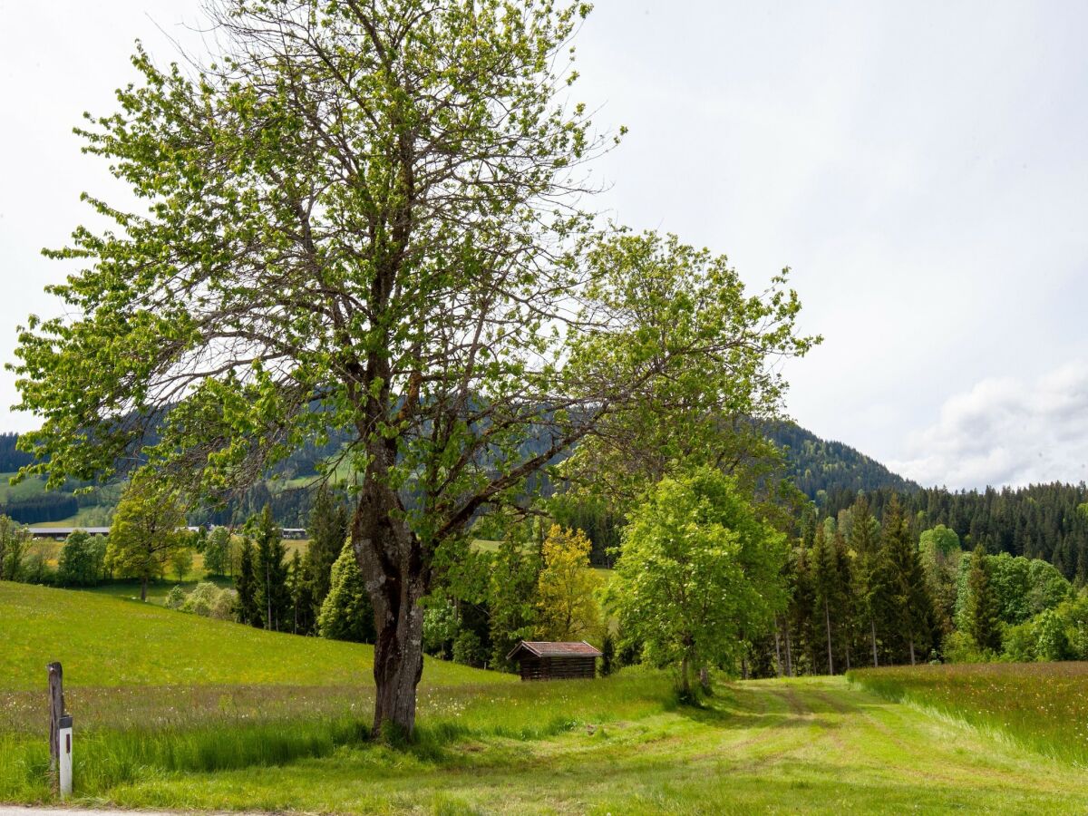 Apartment Ruhig gelegene Ferienwohnung Brixental - Outdoor photo 5