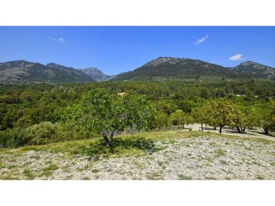 Holiday house Landhaus in Selva mit privatem Pool - Environment photo 21