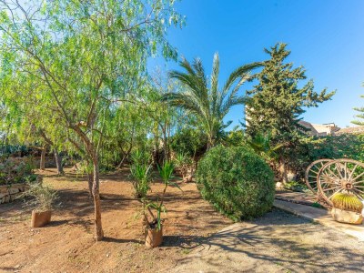 Villa S'alqueria Rotja - Ferienhaus Mit Privatem Pool - Outdoor photo 14