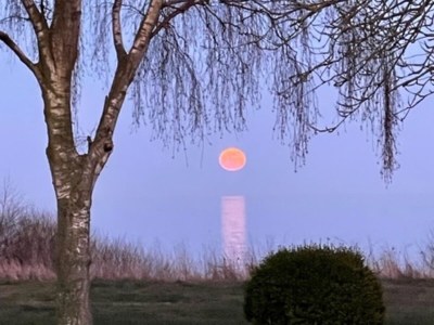 Holiday house Jensen - Outdoor photo 20