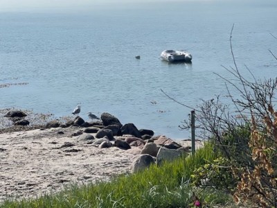 Holiday house Jensen - Outdoor photo 23