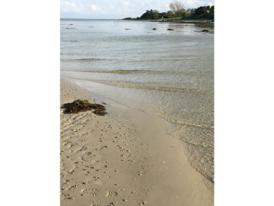 Holiday house Jensen - Environment photo 39