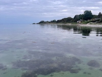 Holiday house Jensen - Document photo 43