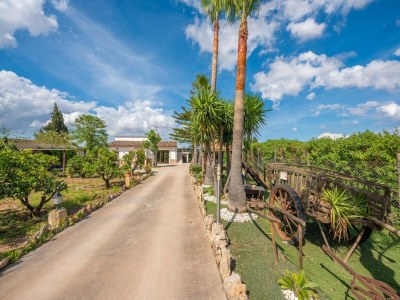 Villa Can Pintat (llubÍ) - Villa With Private Pool - Environment photo 30