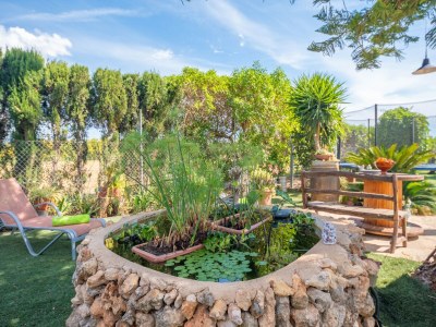 Villa Can Pintat (llubÍ) - Villa With Private Pool - Environment photo 32