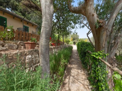 Villa C'an Pieres - Villa With Private Pool In Esporles - Outdoor photo 43