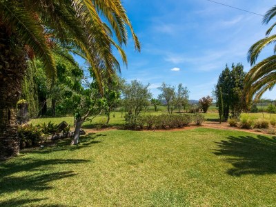 Villa Cal Moliner - Villa With Private Pool In Pollença - Environment photo 32