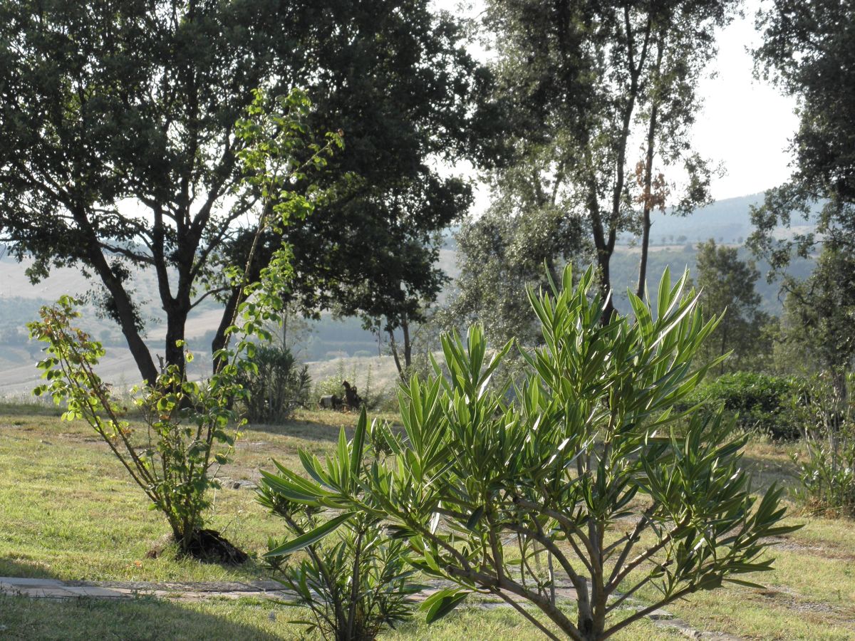 Holiday apartment In the detached country house Benefei - Outdoor photo 4