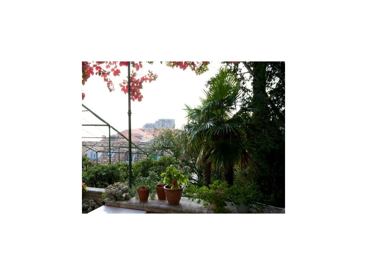 Apartment Villa Iveta - Triple Room with Private External Bathroom (Marija) - Outdoor photo 4