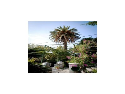 Apartment Villa Iveta - Triple Room with Private External Bathroom (Marija) in Dubrovnik - Apartment