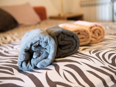 Apartment Apartments Villa Bell Memories- Two Bedroom Apartment with Shared Terrace and Sea View (A5) - Features photo 20