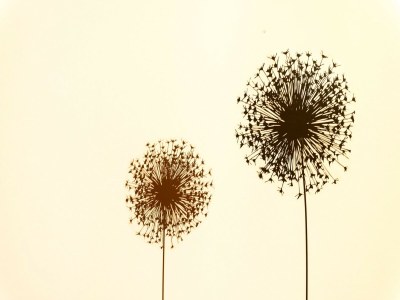 Apartment Apartments Villa Bell Memories- Two Bedroom Apartment with Shared Terrace and Sea View (A5) - Outdoor photo 38