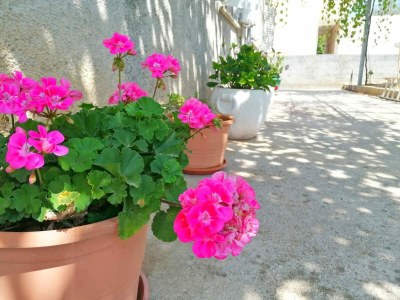 Apartment Holiday Home Blue Dream - Two Bedroom Apartment with Terrace and Sea View (A1) - Outdoor photo 7