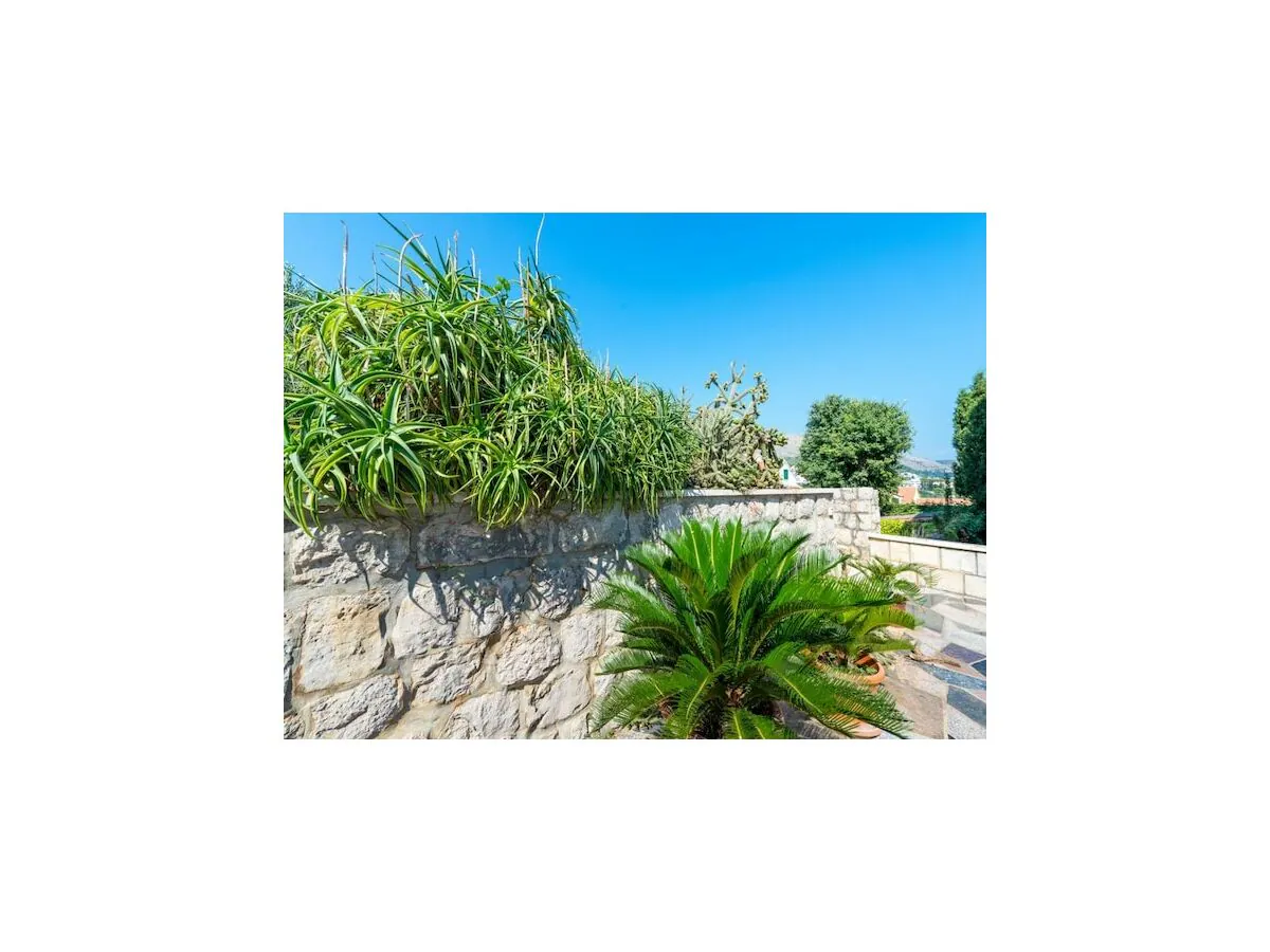 Apartment Apartments & Rooms Tapera- Standard Double Room with Terrace and Partial Sea View - Outdoor photo 3