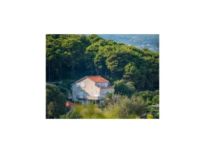 Apartment Apartments & Rooms Tapera- Standard Double Room with Terrace and Partial Sea View in Dubrovnik - Apartment