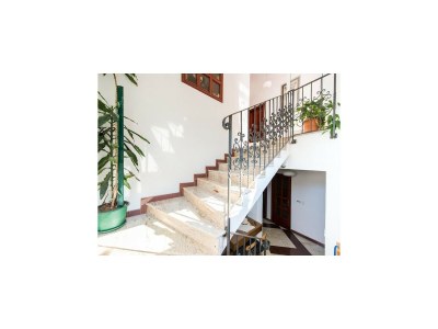 Apartment Apartments & Rooms Tapera- Standard Double Room with Terrace and Partial Sea View - Outdoor photo 10