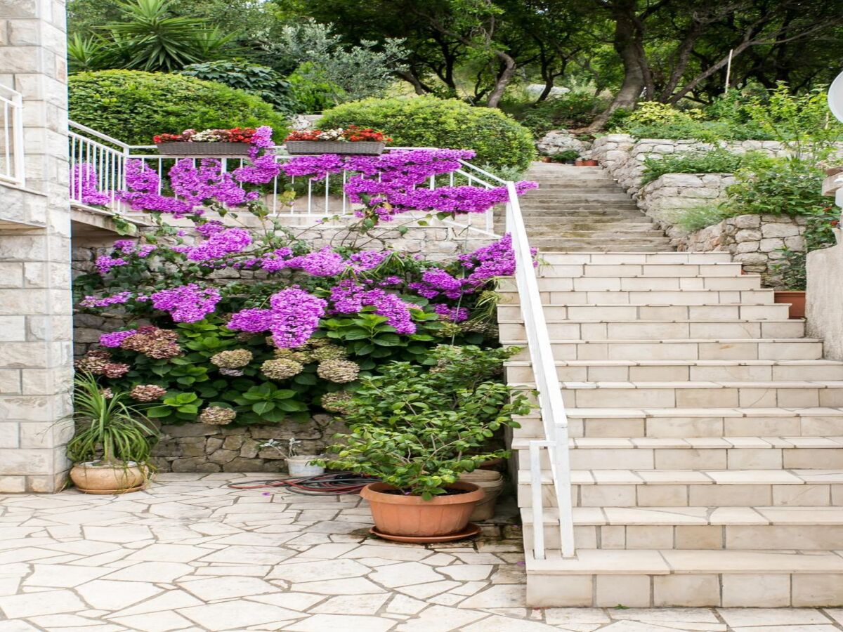 Apartment Apartments Maria Koločep- Three Bedroom Apartment with Backyard Terrace and Sea View - Outdoor photo 3