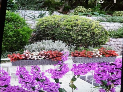 Apartment Apartments Maria Koločep- Three Bedroom Apartment with Backyard Terrace and Sea View - Outdoor photo 21