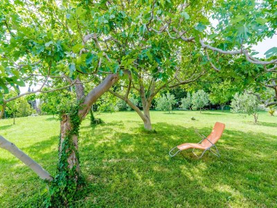 Apartment Apartment with 1 room and terrace - Outdoor photo 5