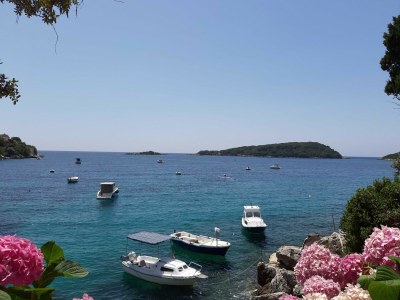 Holiday house House Kočan-Four Bedroom Villa with Terrace and Swimming Pool - Outdoor photo 27