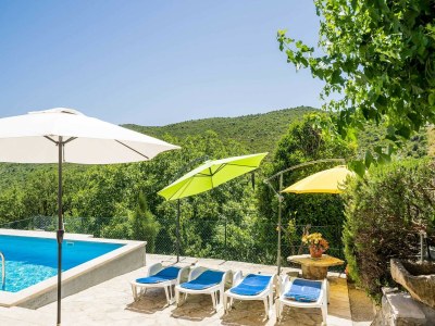 Holiday house House Kočan-Four Bedroom Villa with Terrace and Swimming Pool - Outdoor photo 44