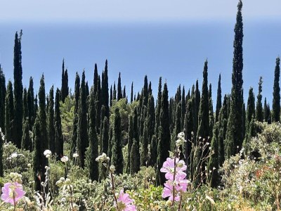 Holiday house House Kočan-Four Bedroom Villa with Terrace and Swimming Pool - Outdoor photo 46