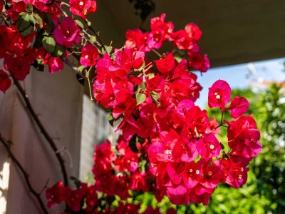 Apartment Apartment Matej - One Bedroom Apartment (Žrtava s Dakse) - Outdoor photo 11