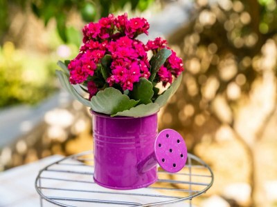 Apartment Apartment Matej - One Bedroom Apartment (Žrtava s Dakse) - Outdoor photo 37