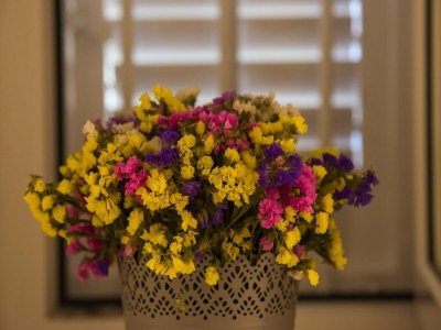 Apartment Apartment Domix - Two Bedroom Apartment - Outdoor photo 2