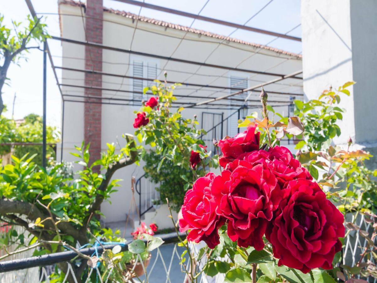 Villa Villa Dalmatian Gem - Two-Bedroom Villa with Terrace and Swimming Pool - Outdoor photo 2