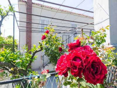 Villa Villa Dalmatian Gem - Two-Bedroom Villa with Terrace and Swimming Pool - Outdoor photo 2