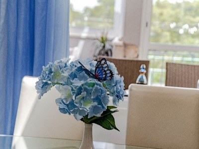 Holiday house Stone House Blaca - Two Bedroom Stone House with Terrace and Sea View - Features photo 47