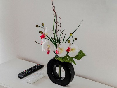 Holiday house Stone House Blaca - Two Bedroom Stone House with Terrace and Sea View - Outdoor photo 56