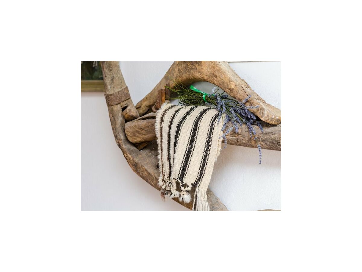 Holiday house Holiday Home Field of Olives - Two Bedroom Holiday Home with Terrace - Outdoor photo 4