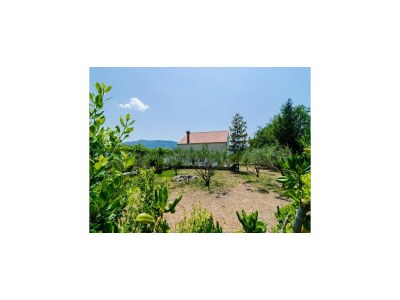 Holiday house Holiday Home Field of Olives - Two Bedroom Holiday Home with Terrace - Outdoor photo 29