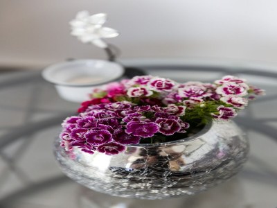 Apartment Apartment South Side - Studio Apartment with City View - Features photo 7