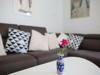 Apartment Serious Job Apartment - One Bedroom Apartment with Shared Terrace (veći) - Features photo 6