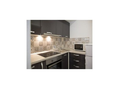 Apartment Serious Job Apartment - One Bedroom Apartment with Shared Terrace (veći) - Features photo 8