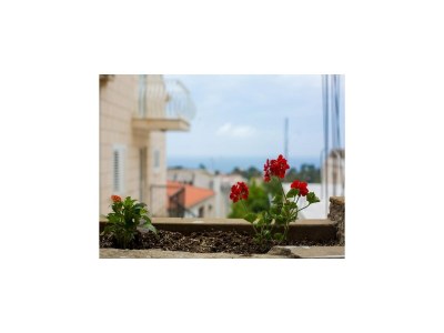 Apartment Serious Job Apartment - One Bedroom Apartment with Shared Terrace (veći) - Outdoor photo 31