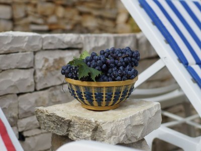 Holiday house Vacation House Planika - Two Bedroom Holiday Home with Terrace and Sea View - Outdoor photo 38