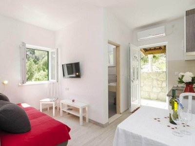 Apartment Apartments Matuško Mljet  - One Bedroom Apartment with Balcony and Sea View in Mljet - Apartment