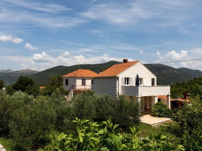 Apartment Apartment Relax Ston - Two Bedroom Apartment with Terrace - Outdoor photo 9