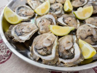 Apartment Apartment Relax Ston - Two Bedroom Apartment with Terrace - Outdoor photo 24