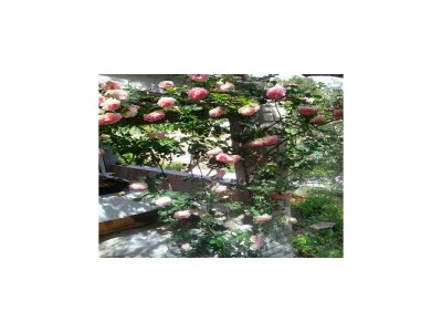 Holiday house Getaway Beach House-One Bedroom Holiday Home with Terrace and Sea View - Outdoor photo 19