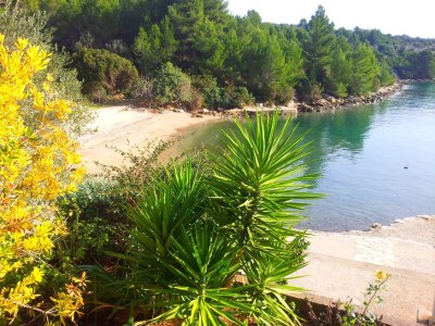 Holiday house Getaway Beach House-One Bedroom Holiday Home with Terrace and Sea View - Outdoor photo 23