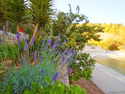 Holiday house Getaway Beach House-One Bedroom Holiday Home with Terrace and Sea View - Outdoor photo 30