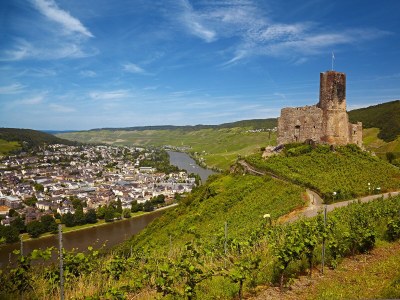 Holiday apartment Villa Mosella II - Environment photo 10