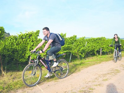 Holiday apartment Villa Mosella II - Environment photo 14