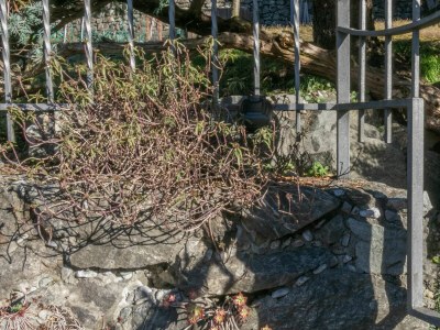 Holiday house La Soliva Big House - Outdoor photo 16