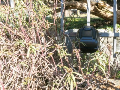 Holiday house La Soliva Big House - Environment photo 74